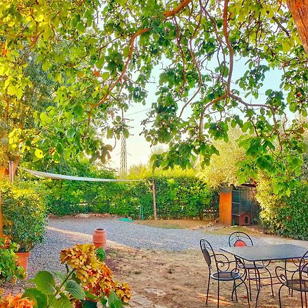 Villa La casina Acquaviva  Esterno foto