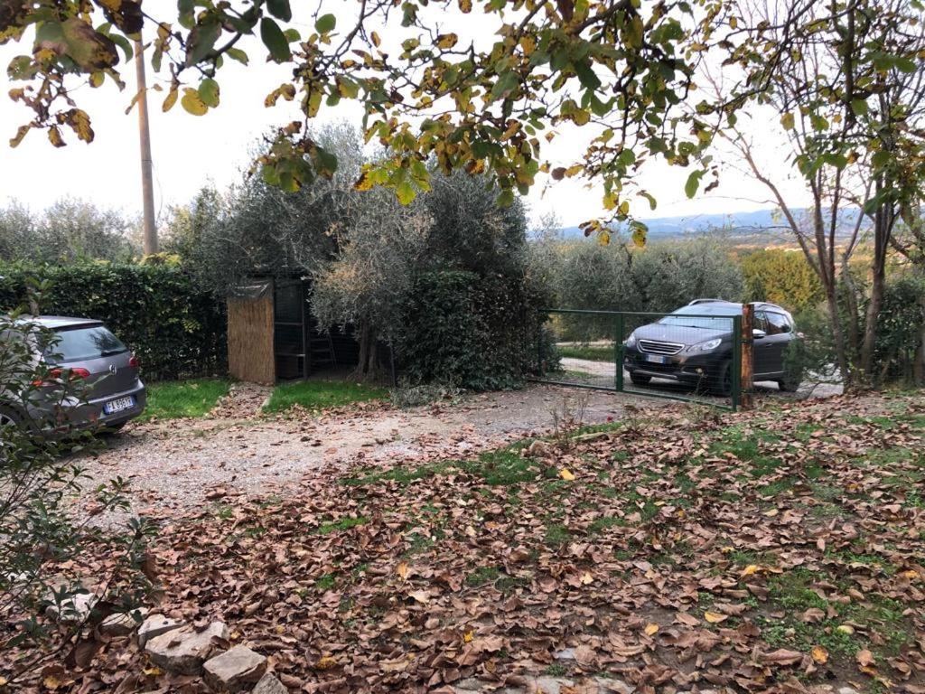 Villa La casina Acquaviva  Esterno foto
